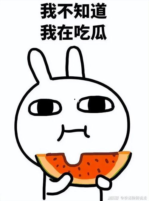 wyf吃瓜网盘,揭秘娱乐圈幕后故事，带你走进明星私生活