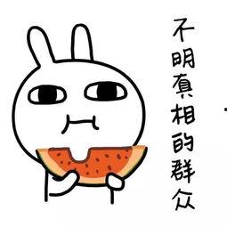 娱乐吃瓜酱一直不上班,揭秘“躺平”网红的日常